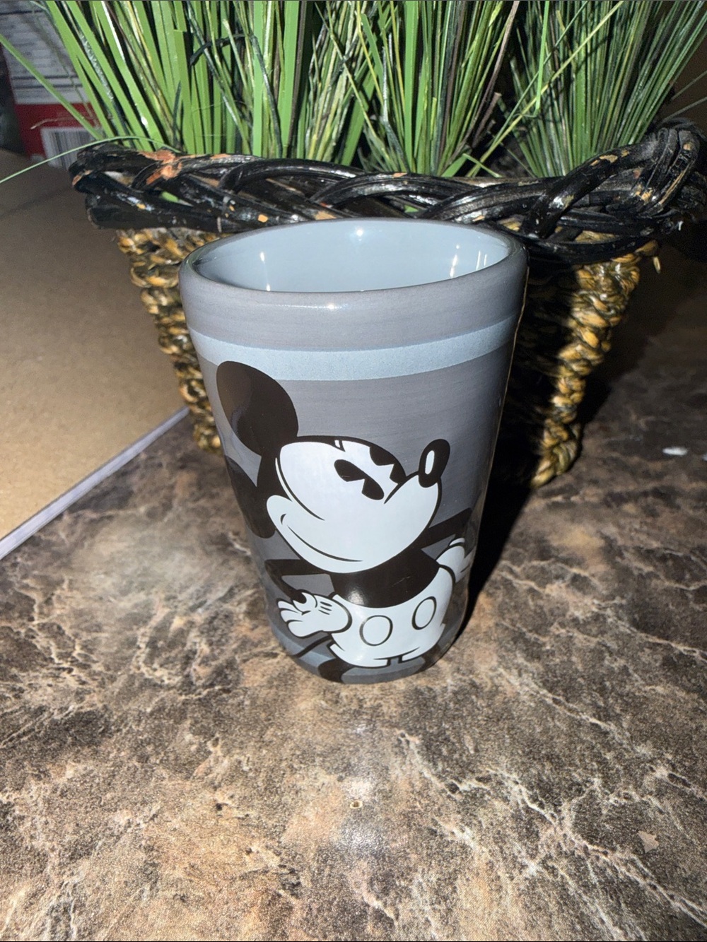 Disney authentic gray Mickey Mouse is in the house shot glass